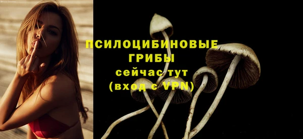 а пвп мука Балахна